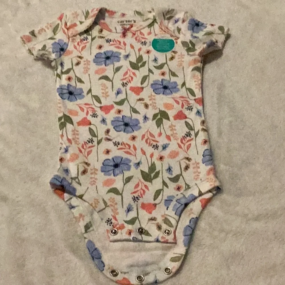 Carter's Blue and Pink Bodysuits Set for Infants - Picture 7 of 10